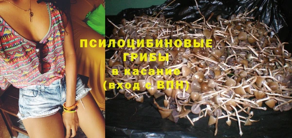 героин Алзамай