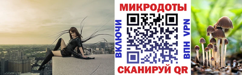 Псилоцибиновые грибы Magic Shrooms  Каргат 