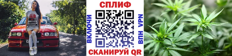 Каннабис Amnesia  Каргат 